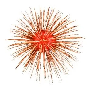 烟花 PNG免抠(300x300)