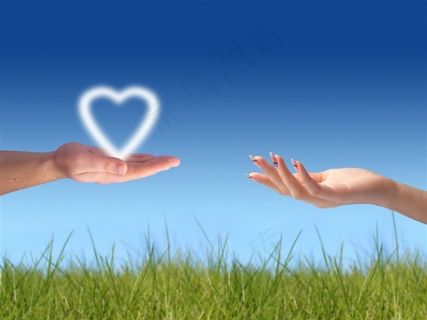 蓝天草地屏保图片