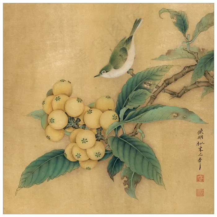 临宋枇杷绣羽图