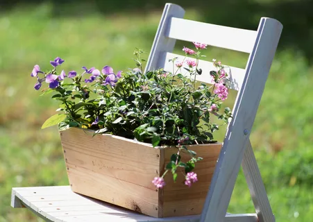 盆景造型四七 盆景造型四七