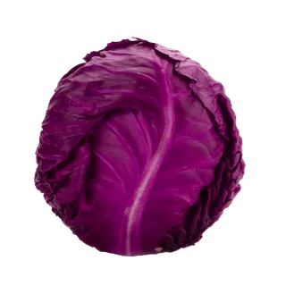 紫甘蓝 (6)超市商品白底图免抠实物摄影png格式图片透明底