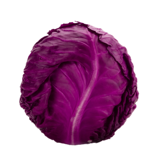 紫甘蓝 (6)超市商品白底图免抠实物摄影png格式图片透明底