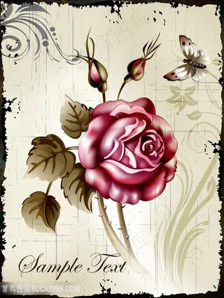 欧式花与蝴蝶装饰画