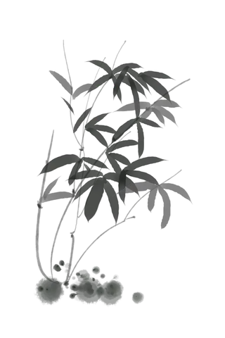 竹子水墨画中国风国画墨水书法竹子画