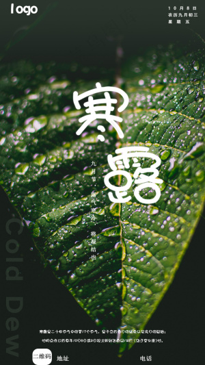 寒露海报2