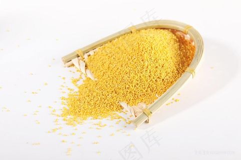 小米大黄米摄影图片