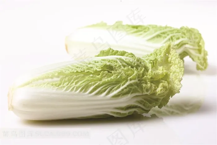 白菜高清摄影素材