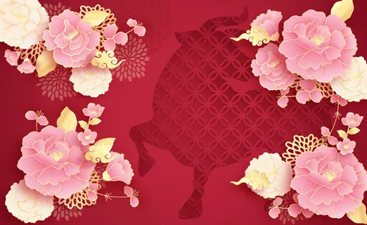 设计红色祝贺新年