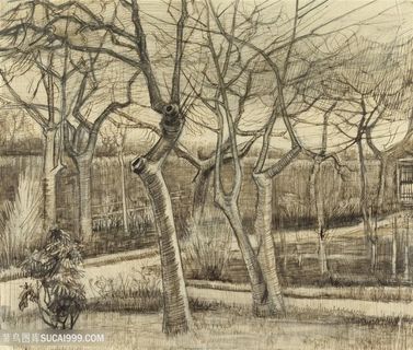 梵高牧师花园素描风景画