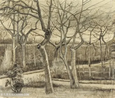 梵高牧师花园素描风景画
