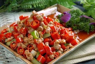 XCXC0924剁椒童子君