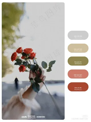 高质量插画配色色卡