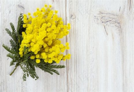 妇女节黄色花束鲜花背景