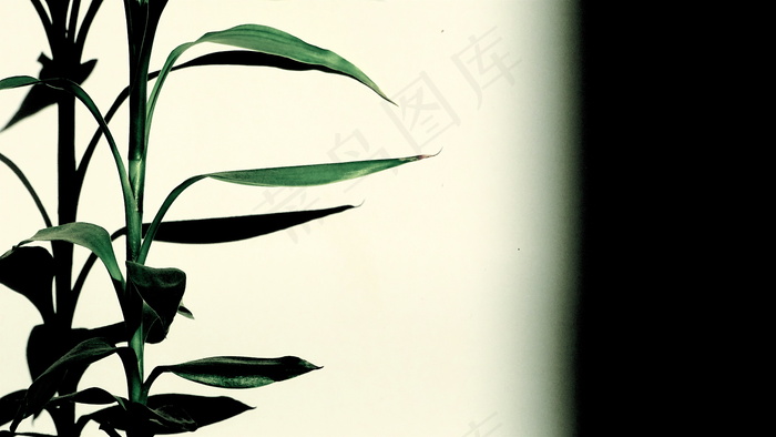 植树节背景图片素材