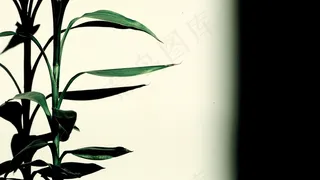 植树节背景图片素材