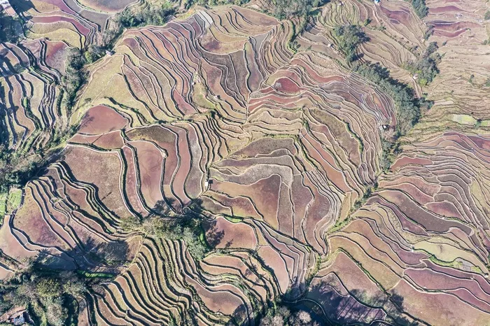 老鹰嘴梯田