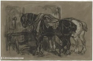 动物马素描装饰画