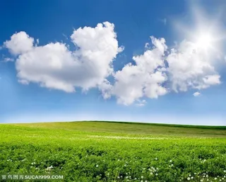 美丽草原风景图片下载