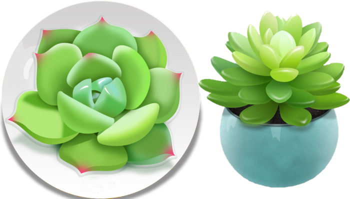 免抠绿色，多肉，植物，盆栽，清新，免费PNG