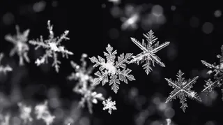 雪花白雪冬天摄影图