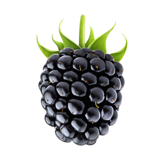 桑椹 (5)水果超市商品白底图免抠实物摄影png格式图片透明底