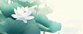 夏天荷花荷叶手绘绿色插画，夏至小暑大暑