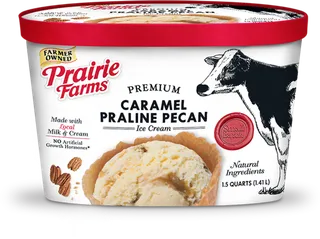 冰淇淋粉食物现代农业