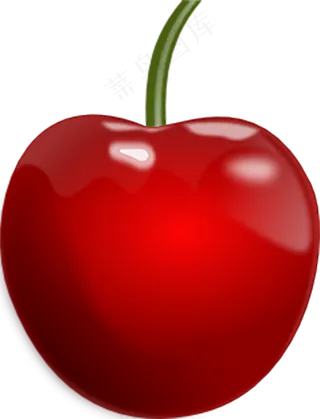樱桃免抠素材 (18)