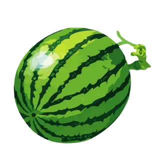 夏日西瓜素材