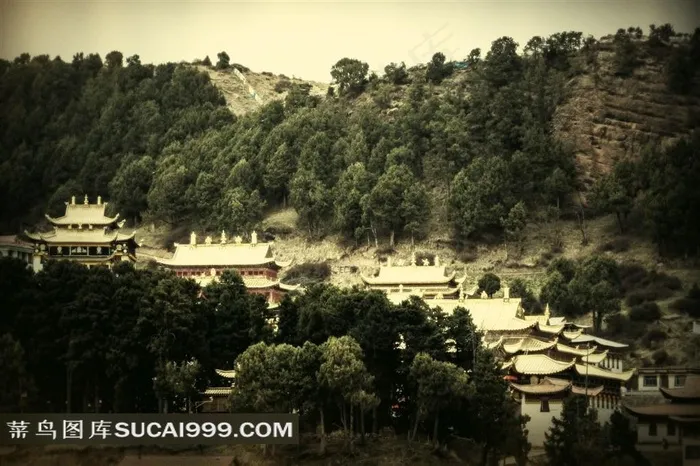 甘南郎木寺山林庙宇