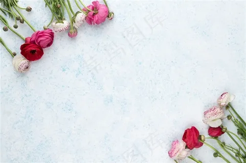 简约白色边上鲜花点缀 简约白色边上鲜花点缀