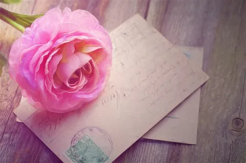 粉色的玫瑰花素材图片