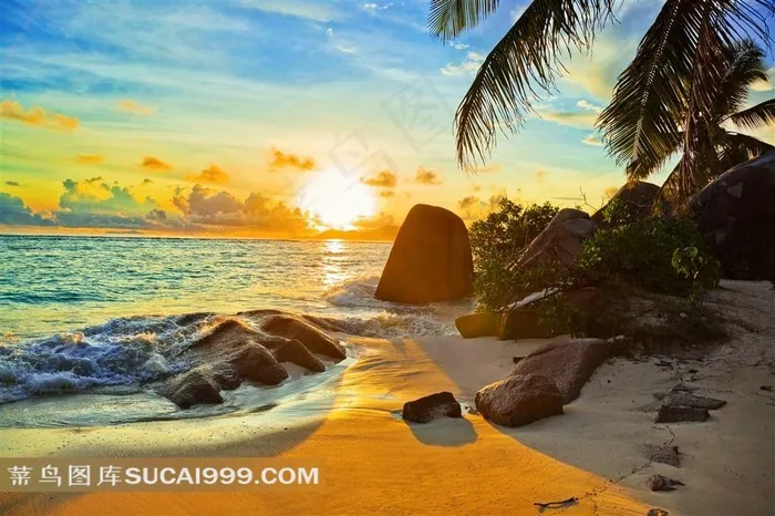 迷人的金色海滩