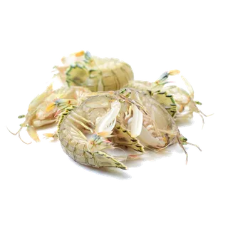 虾类(24)海鲜超市商品红酒白底图免抠实物摄影png格式图片透明底