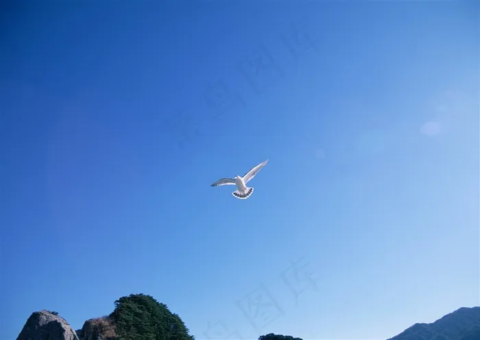 晴空万里背景图片素材