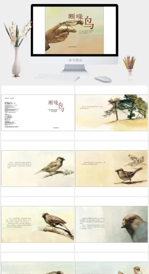 断喙鸟幼儿园绘本故事ppt模版预览图