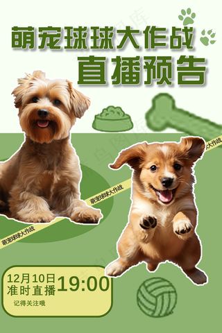 直播卖货玩具球海报