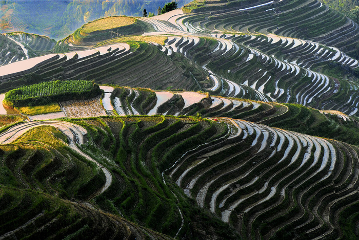 梯田风景素材图片下载