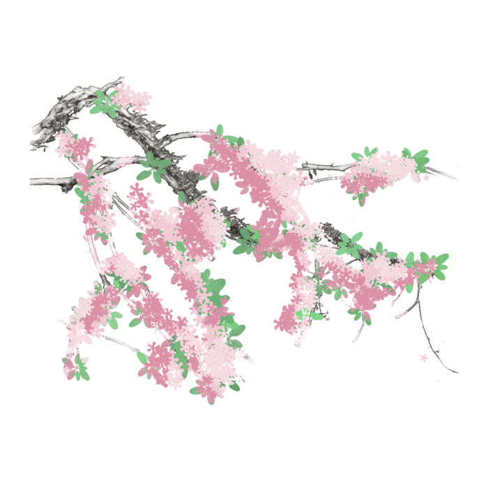 春天浪漫粉红色樱花手绘樱花梅花桃花花朵图片PNG免扣素材