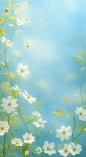 春天清新白色花朵温馨，蓝色朦胧，立春惊蛰春分摄影图