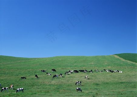 蔚蓝的天空干净摄影图片