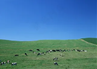 蔚蓝的天空干净摄影图片
