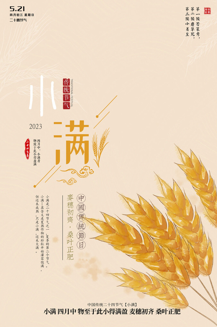 小满节气psd模版下载
