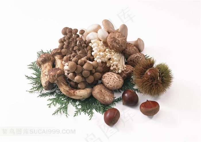 蘑菇板栗美食摄影素材