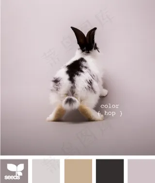 动物配色色卡色彩搭配