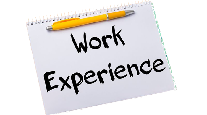 work-experience标签