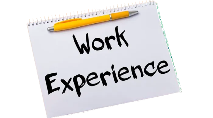 work-experience标签