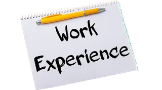 work-experience标签