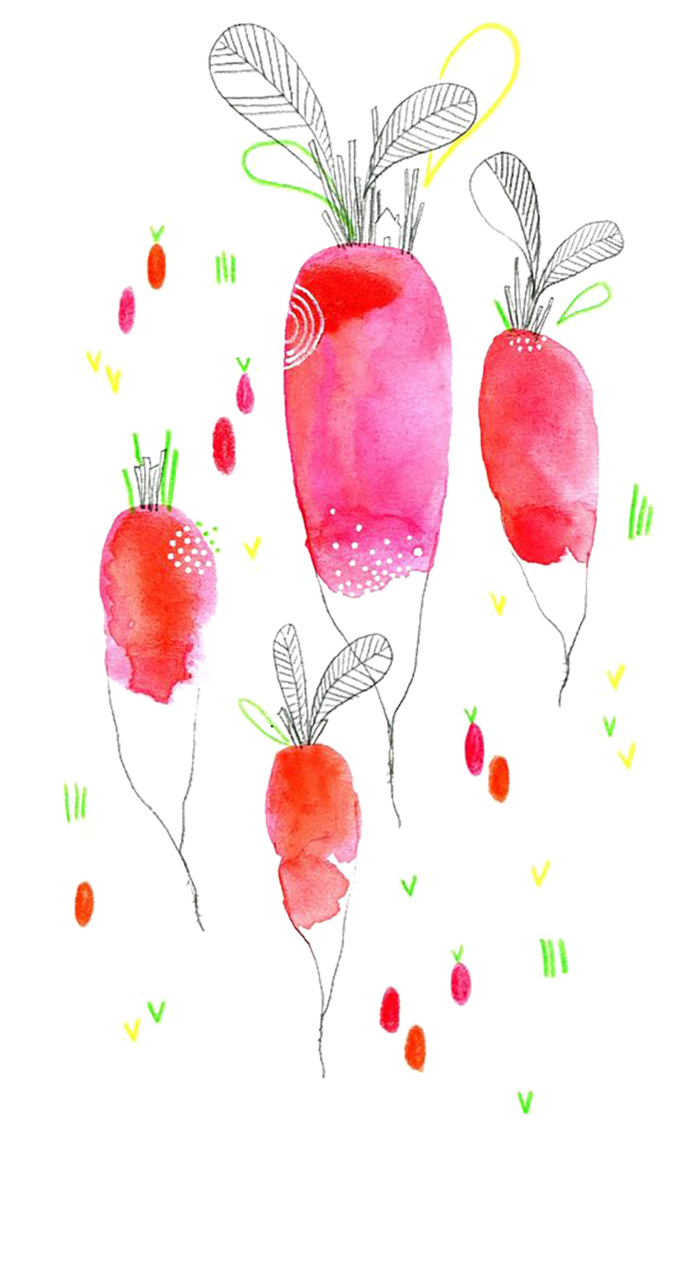 卡通简笔萝卜