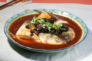 05保府鱼头泡饼 昭君